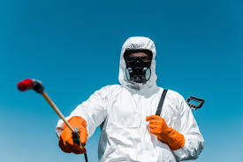 Best Pest Control for Restaurants and Food Service  in Lacoste, TX